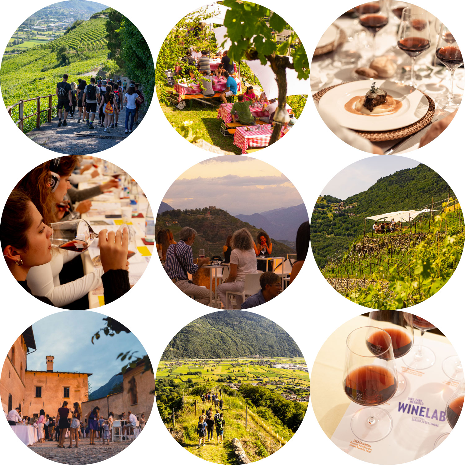 Valtellina Wine Festival 2024