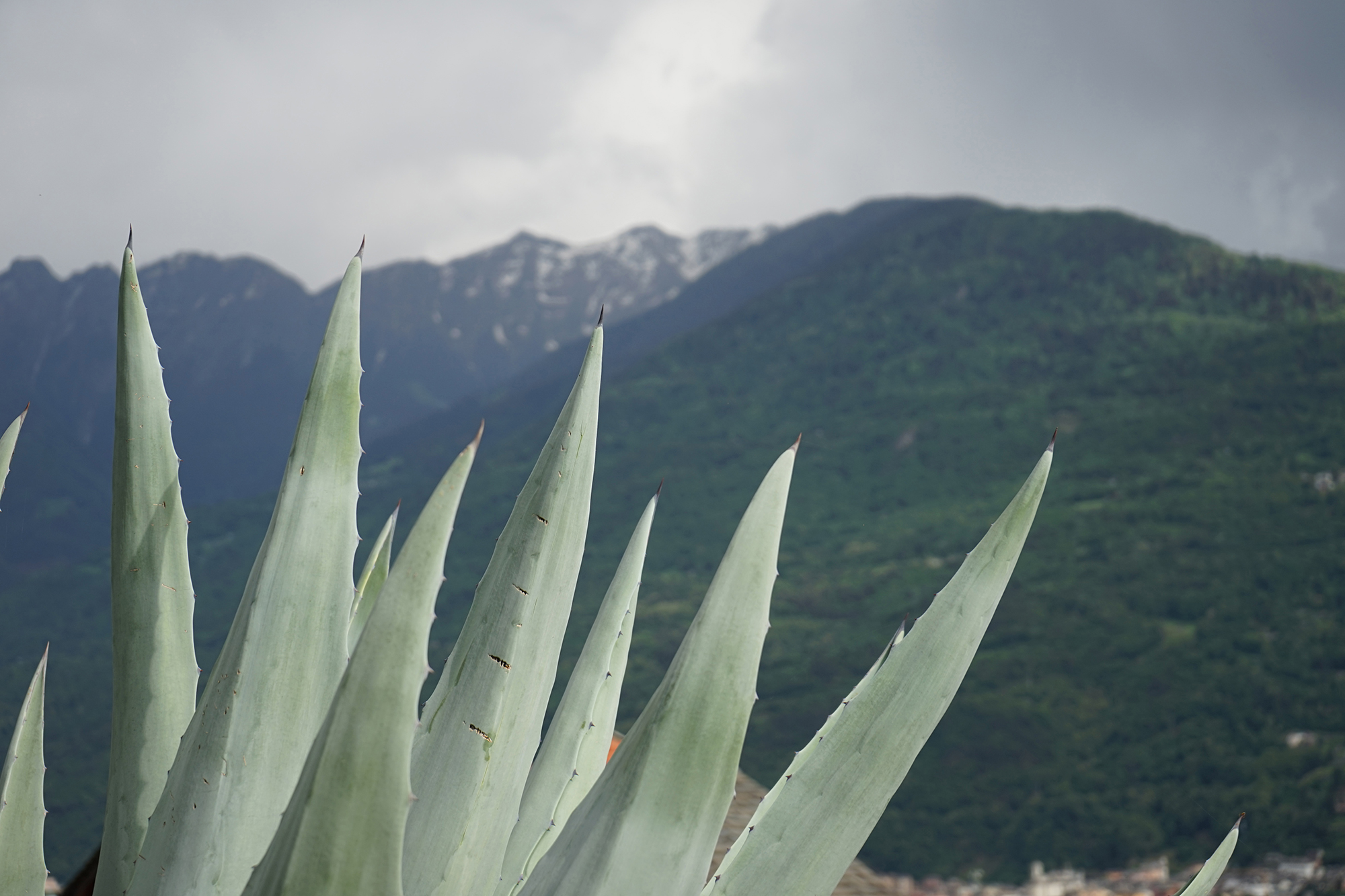 Biodiversità, microclima, unicità