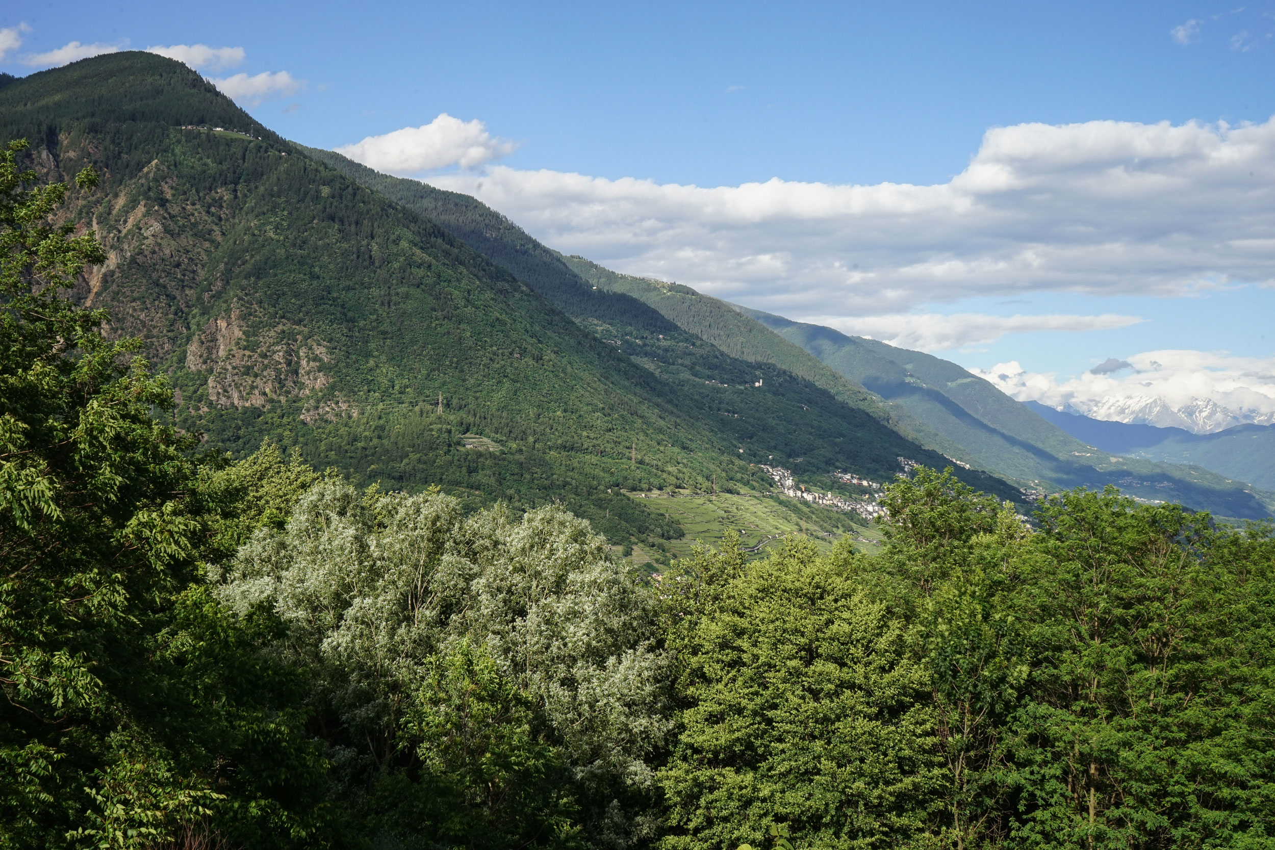 Biodiversità, microclima, unicità