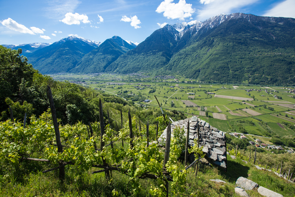 Biodiversità, microclima, unicità