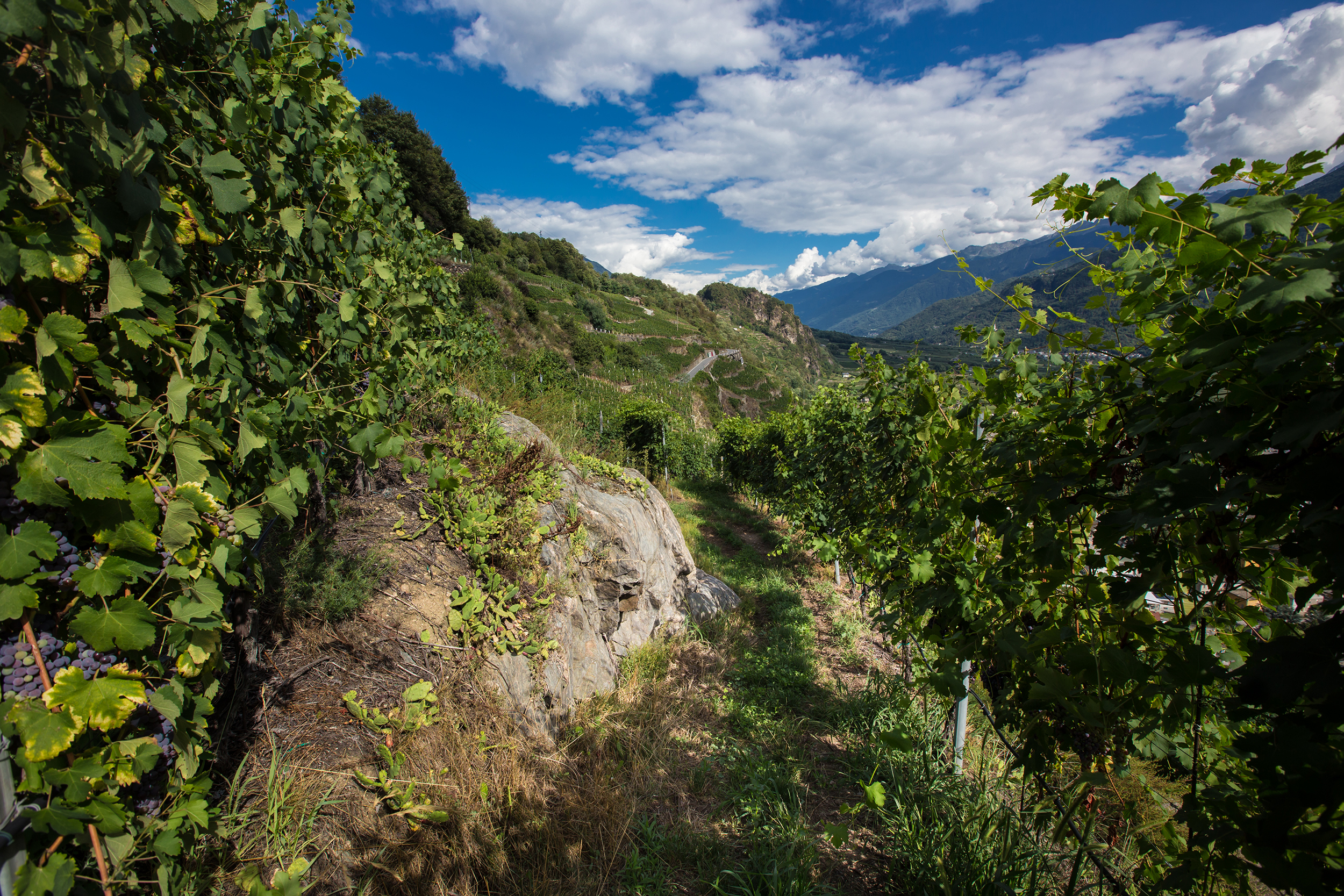 Paesaggio e geologia