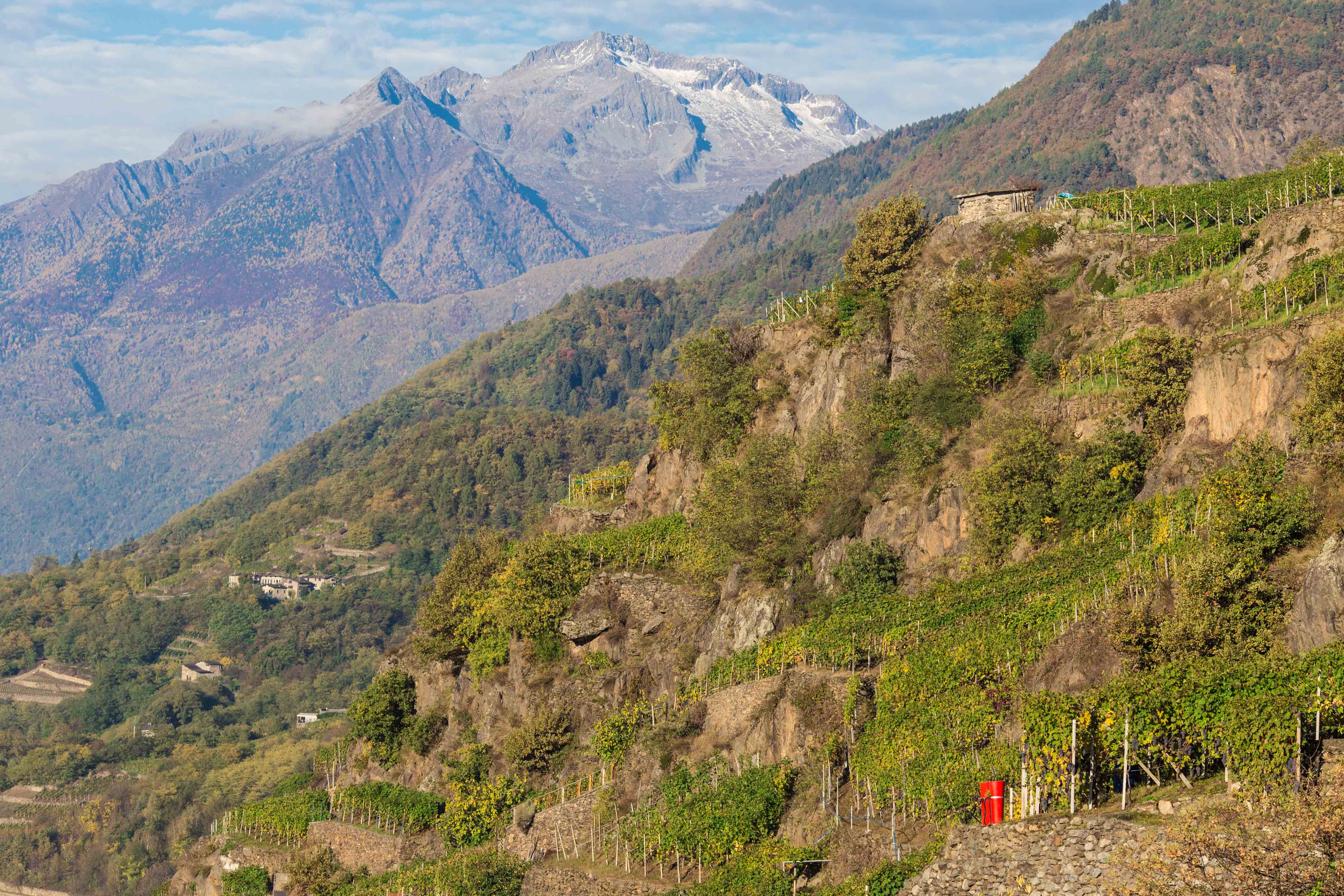 Landscape and geology