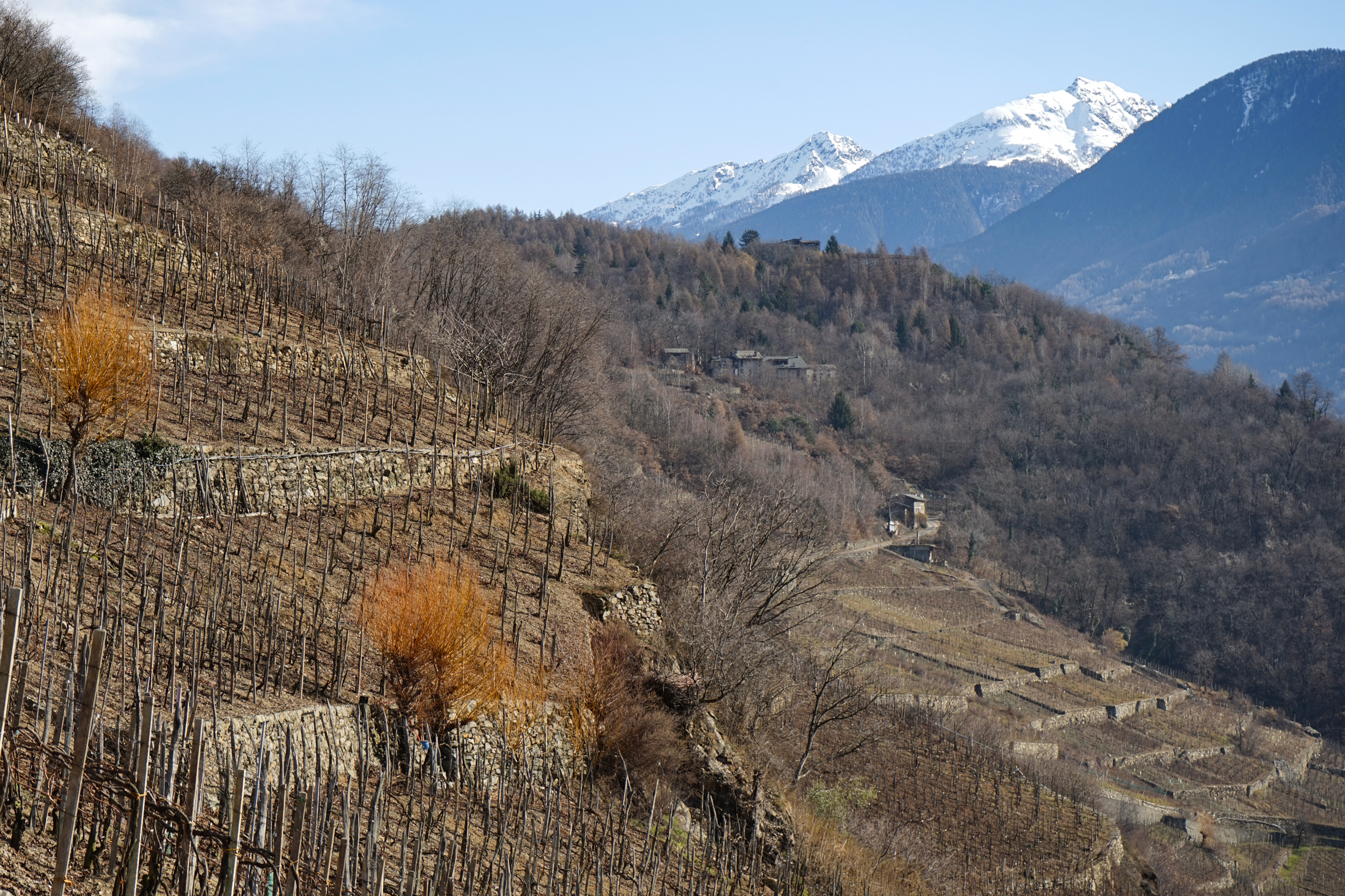 Landscape and geology