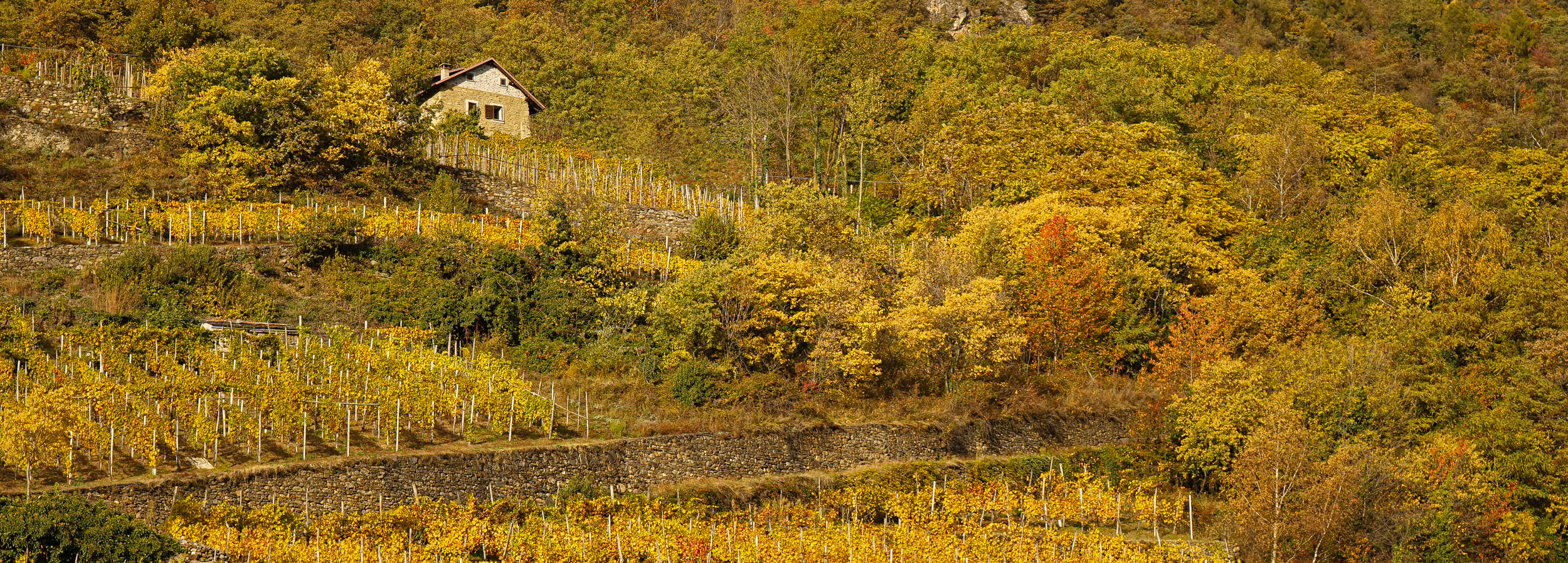 Landscape and geology