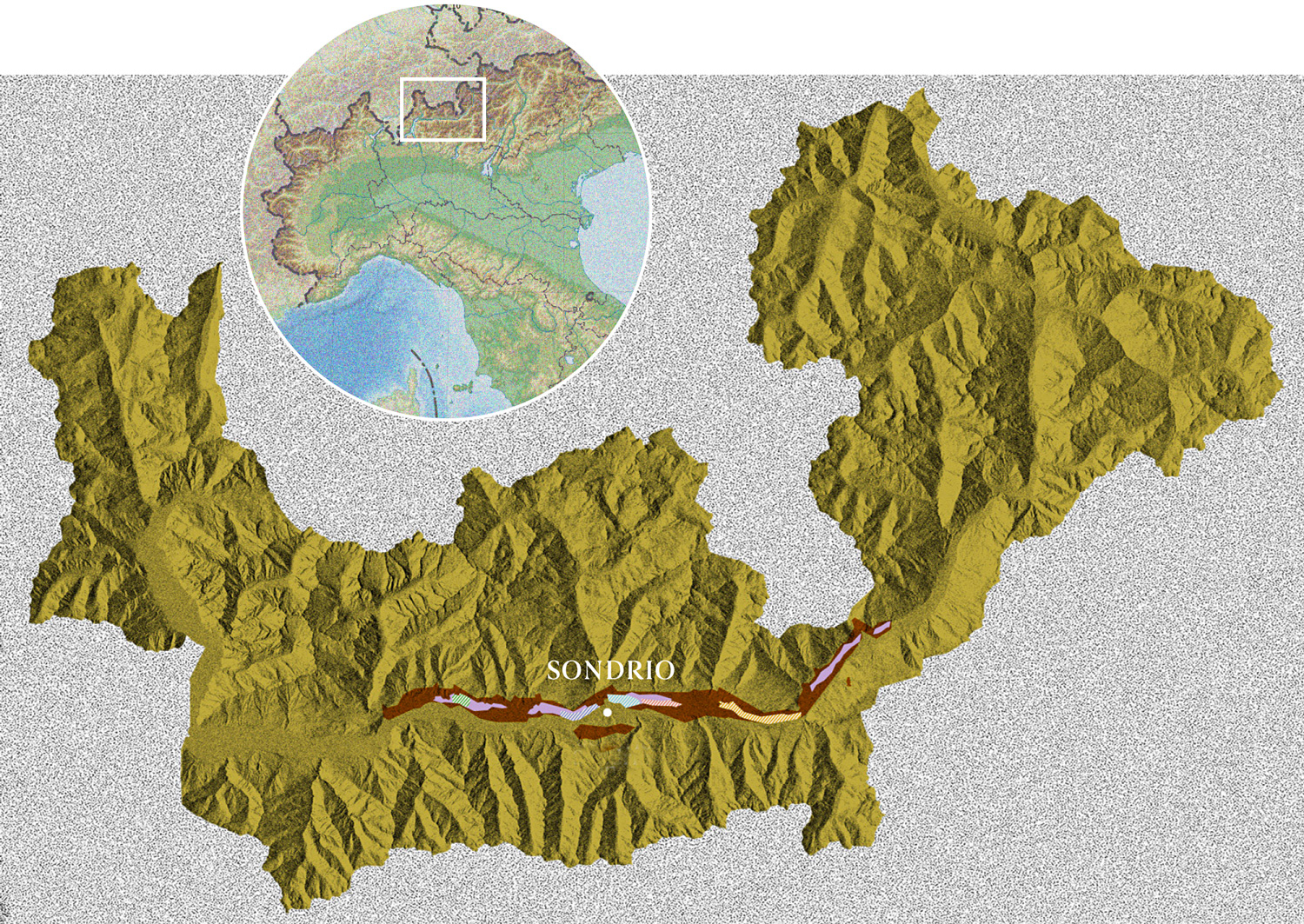 Sottozone di produzione