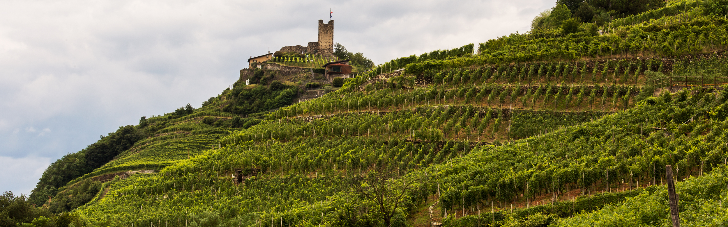 Sottozone di produzione