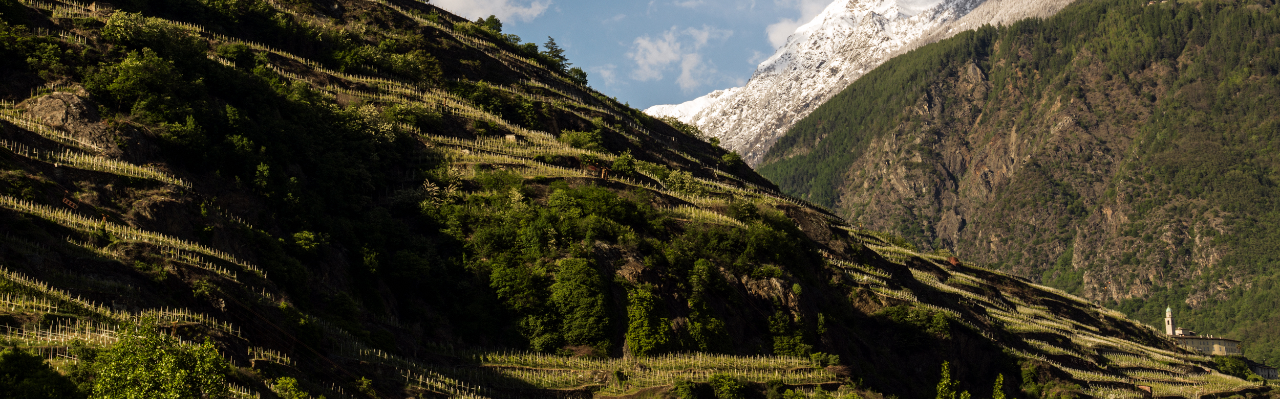 Sottozone di produzione