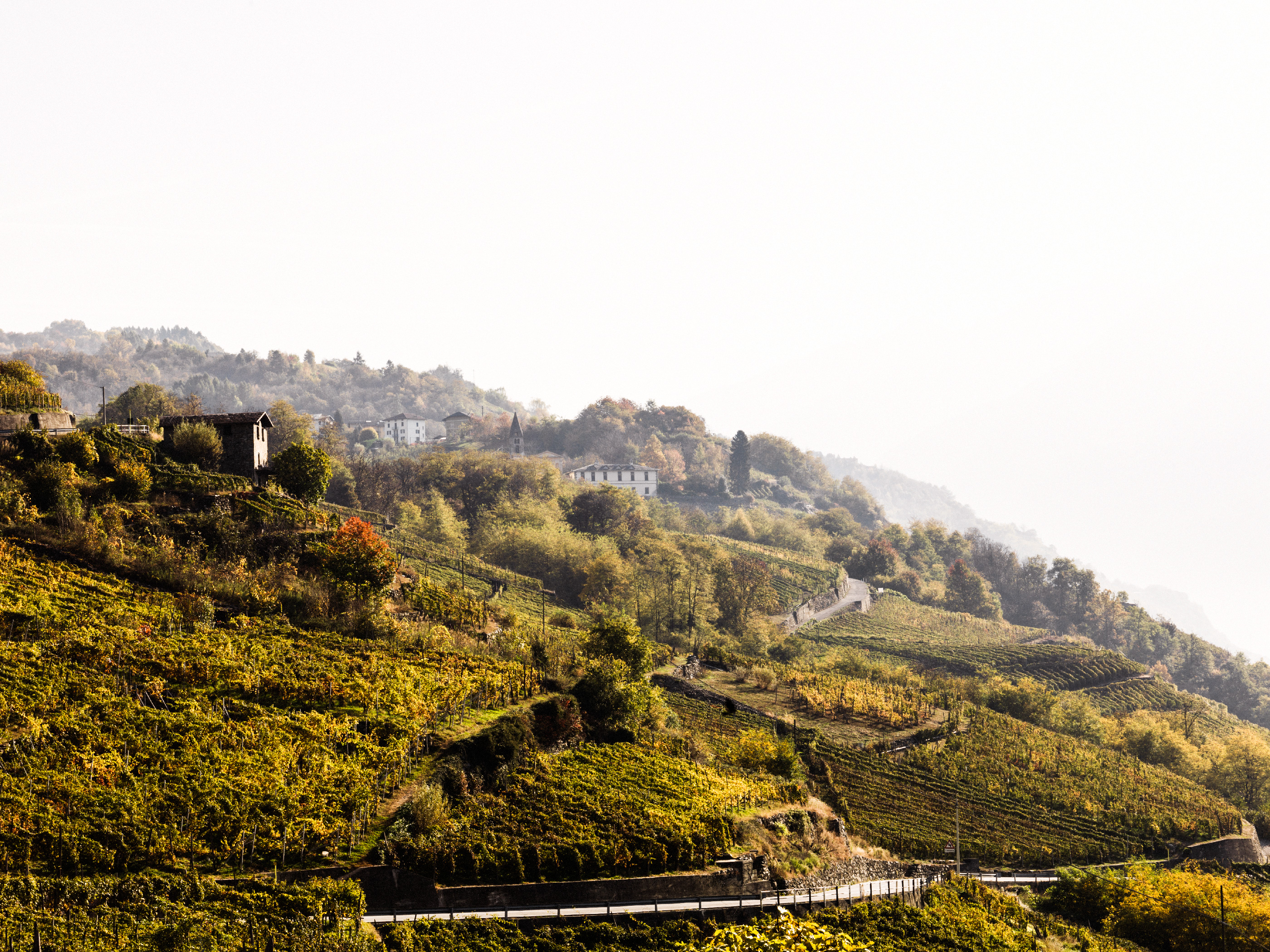 Book your cellar tour and wine tasting