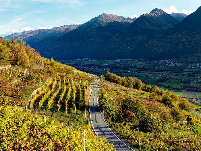 Valtellina Wine Road