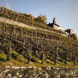 Strada del Vino Valtellina