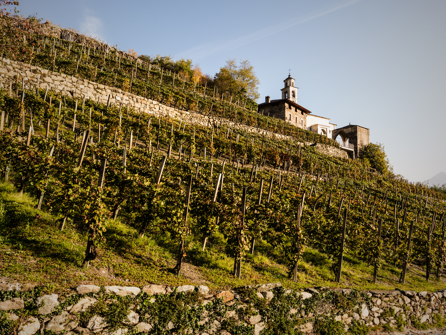 Strada del Vino Valtellina