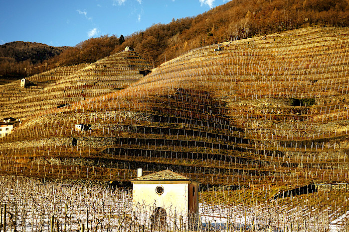 67 chilometri di strada panoramica tra i vigneti terrazzati