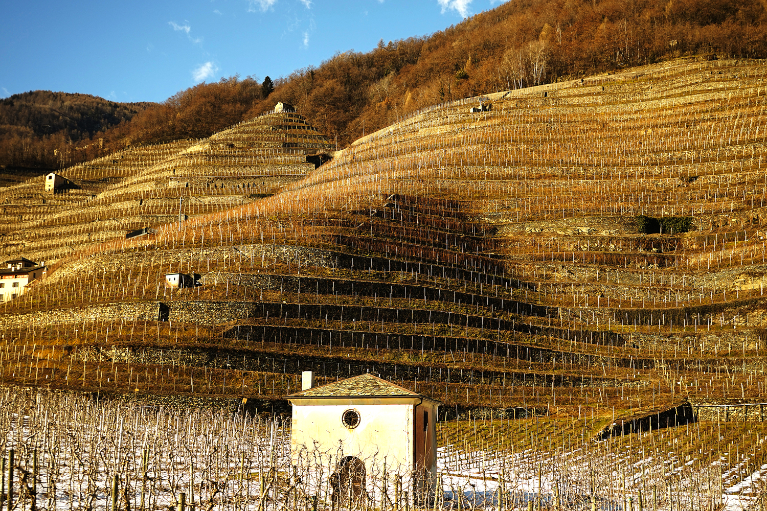 67 chilometri di strada panoramica tra i vigneti terrazzati