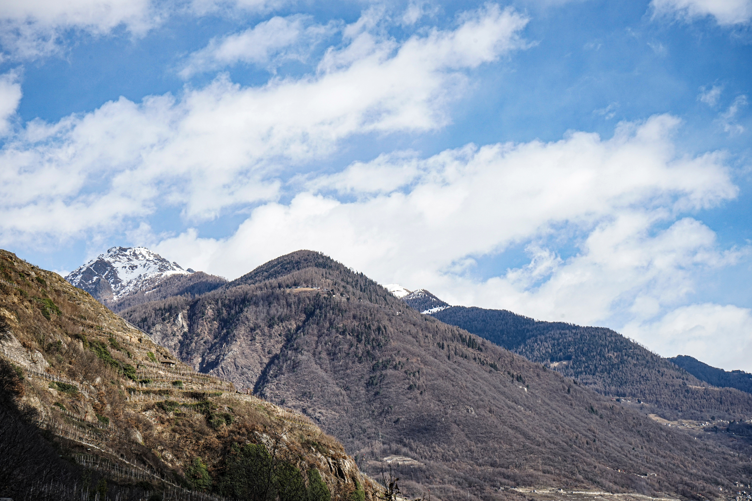 Sforzato di Valtellina